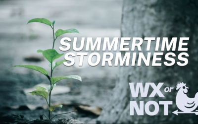 WABBLES Weekend: Summertime storms scoot closer